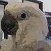 Susan Ormiston - Facebook