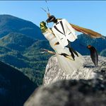 Susan Piller Ory - @susanpiller - Instagram