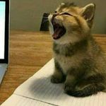 susan - @susankimory12 - Instagram