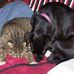 Sue Overbey - Facebook