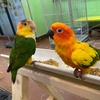 Susan_OveR - @susan_over - TikTok