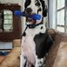 Suzanne Ownbey - Facebook