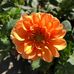 Sue Palm - Facebook