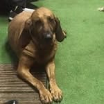 Susan Pardy - @susan.pardy - Instagram
