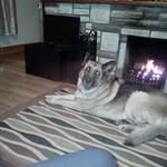 Susan Thompson Pardy - @thompsonpardy - Instagram