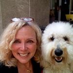 Susan Pascal - @suze.wuze - Instagram