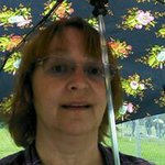 Susan Patch - @patchsusan - Instagram