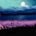 Susan Patch - Facebook