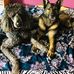 Susan Patnode - Facebook