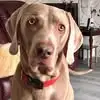 Susan Pattison - @susan.pattison2 - TikTok