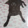 susanpattison22 - @susanpattison22 - TikTok