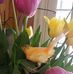 Susan Pecora - Facebook