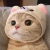 ningwang9452 - @susanpets - TikTok
