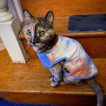 Susan Peets - @leica343 - Instagram