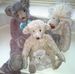 Susan Pegler - Facebook