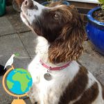Susan Pemberton - @soupee65 - Instagram