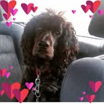Susan Pemberton - Facebook