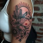 Susan Pemberton - @susanpemberton149 - Instagram