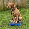Susan Pemberton - @susan.pemberton - TikTok