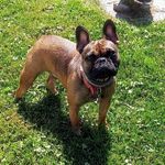 Susan Haigh-Penick - @haighpenick - Instagram