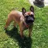 Susan Haigh-Penick - @susan.haighpenick - TikTok
