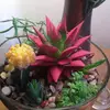 Susan Pennington - @susan.pennington - TikTok