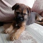 Susan Pennington - @susan.pennington.56884 - Instagram