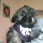 Susan Strube Pennington - @susanpennington221 - Instagram