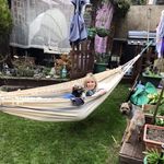 Susan Penson - @sdpenson - Instagram