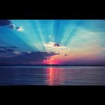 Susan Pentecost - @pookiebearhugs - Instagram