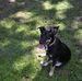 Susan Pentecost - Facebook