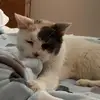 Susanpentecost - @susanpentecost - TikTok