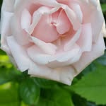 Susan Perigo - @sueperigo2 - Instagram