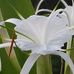Susan Perri - Facebook