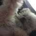 Susan Perri - Facebook
