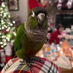 Susan Perri West - @swsw53 - Instagram