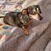 Sue Perron - Facebook