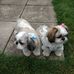 Susan Perron - Facebook