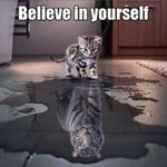 Susan Perron - @scp564 - Instagram