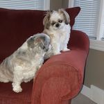 Susan Perron - @susan.perron.9 - Instagram