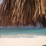 Susan Perry - @sperry623 - Instagram