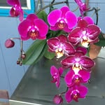 Susan Perry - @susanperry7297 - Instagram