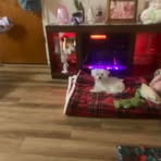 Susan Perry - Facebook