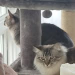Susan Persons - @susanepersons - Instagram