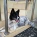 Pfeil Susan - Facebook