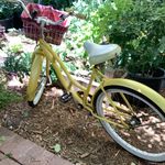 Susan Pfeil - @susanpfeil8 - Instagram