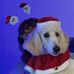 Susan Philbrick - Facebook
