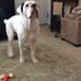 Susan Piasecki - Facebook