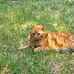 Susan Pilon - Facebook