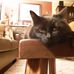 Susan Pilon - Facebook